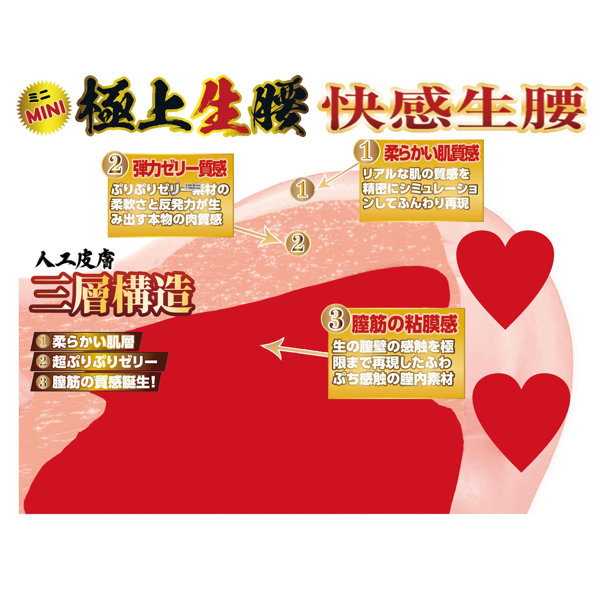 極上生腰 ミニ 森日向子 画像2