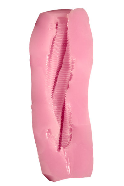 ドーナドーナ いっしょにわるいことをしよう キラキラ THE HOLE Premium 数量限定版 画像7