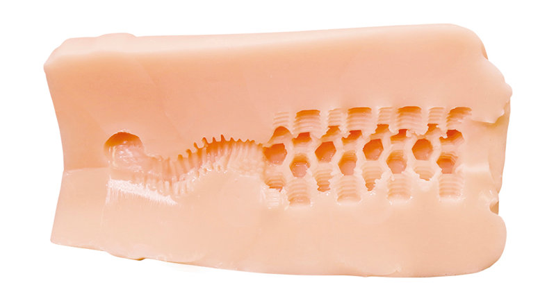 全ての雄を虜にする淫魔サキュバスの極上名器 画像6