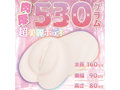 サンプル画像
