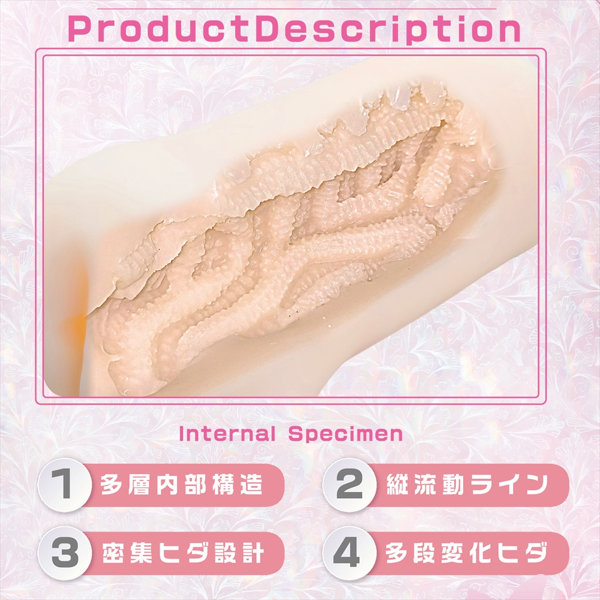 感触標本 Tsutsumi（1529） 画像1