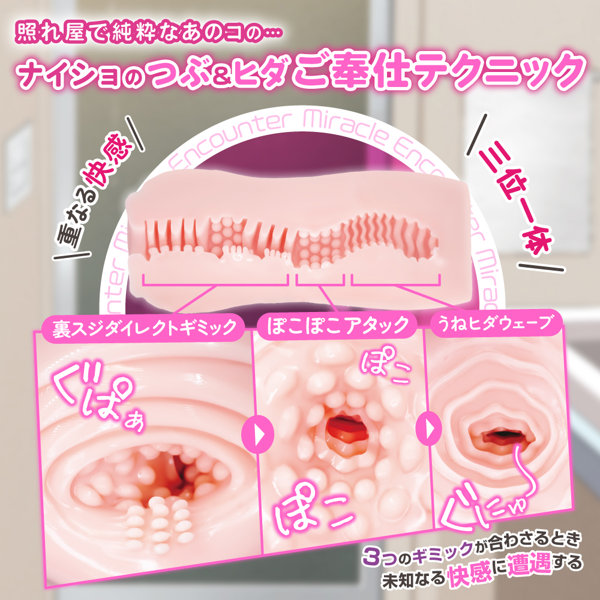 ミラクルエンカウント 純粋オルガテクニカル 画像2