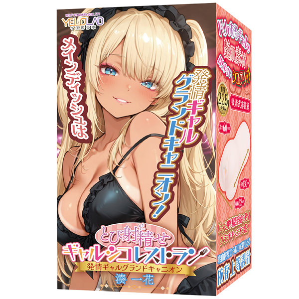 とび射●せ ギャルシコレストラン 発情グランドキャニオン 湊一花【コリコリ湾曲構造でご奉仕】(yelo-038)