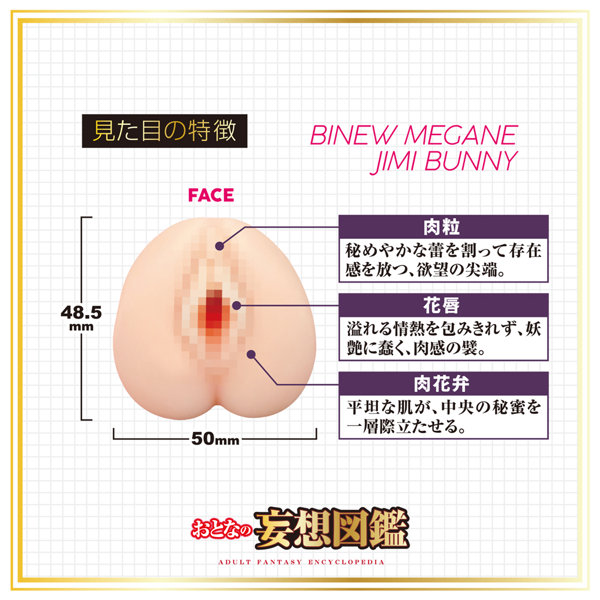 おとなの妄想図鑑 微乳眼鏡地味バニー 画像3