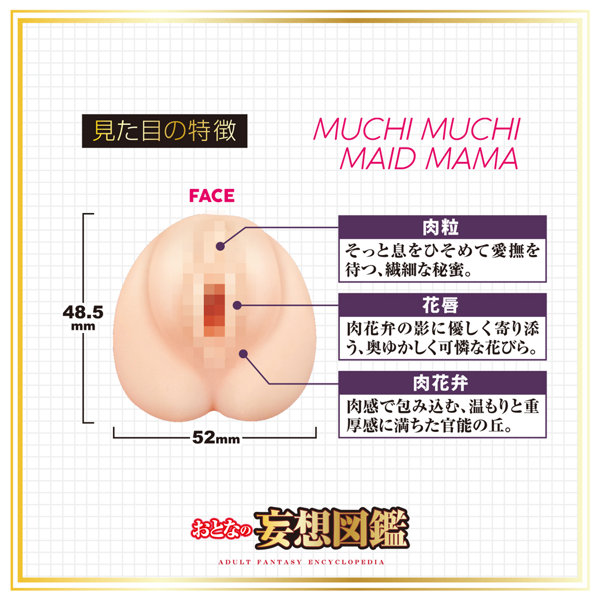 おとなの妄想図鑑 むちむちメイドママ 画像3