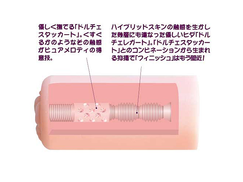 スイートオナキュア 南条響ピュアメロディ 画像1