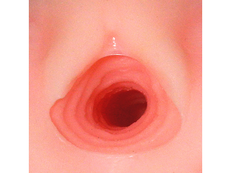 オナホ妖精 画像3