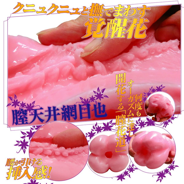 【膣花道】膣天メッシュ 画像5