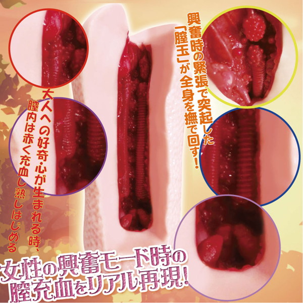 【充血2層】半熟JC 画像2
