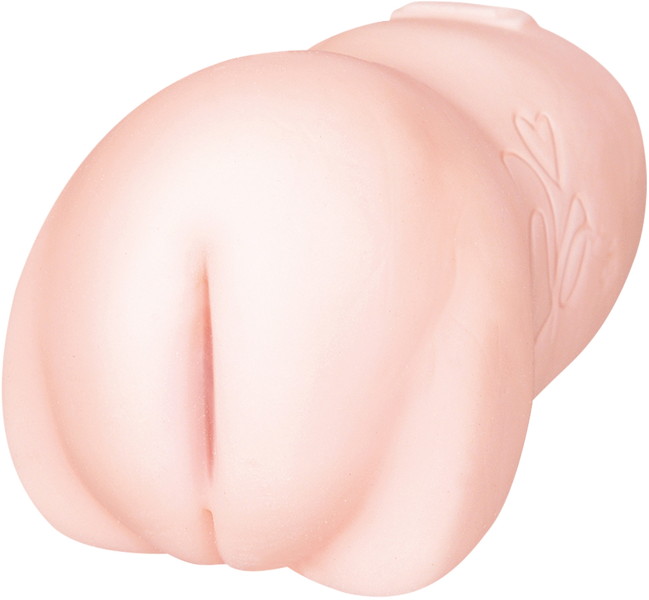 愛須心亜 ツルッツルの処女ぷりまん 画像1