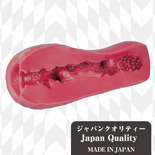 サガス タイプ イラマ 画像4