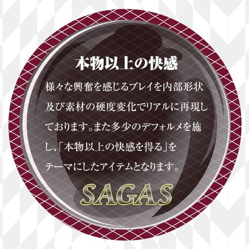 サガス タイプ イラマ 画像5