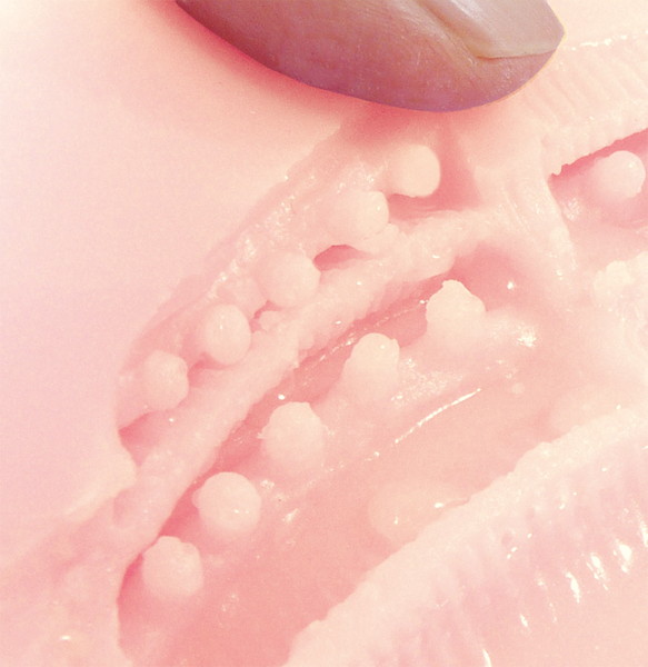 魔層オナホでイク性生活 画像5