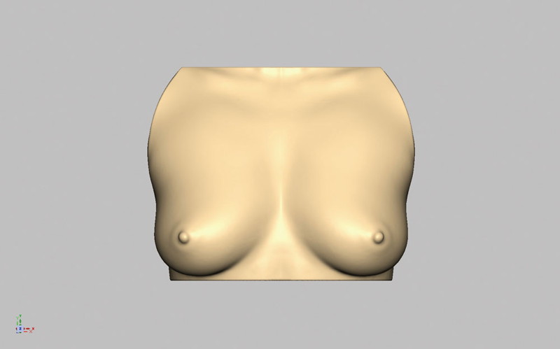 3Dスキャンしてみた 星美りかのおっぱい［日本製］ 画像10