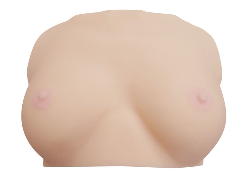 3Dスキャンしてみた 星美りかのおっぱい［日本製］ 画像11