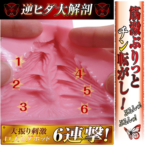 【ヒダポッド6連撃】逆ヒダヴァギナージュ 画像2