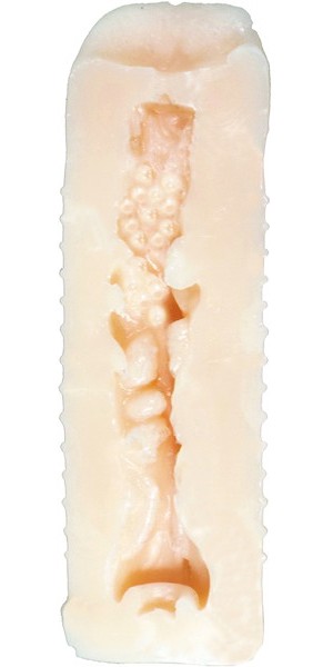 FB(Fresh Body) フレッシュ ボディ 画像2