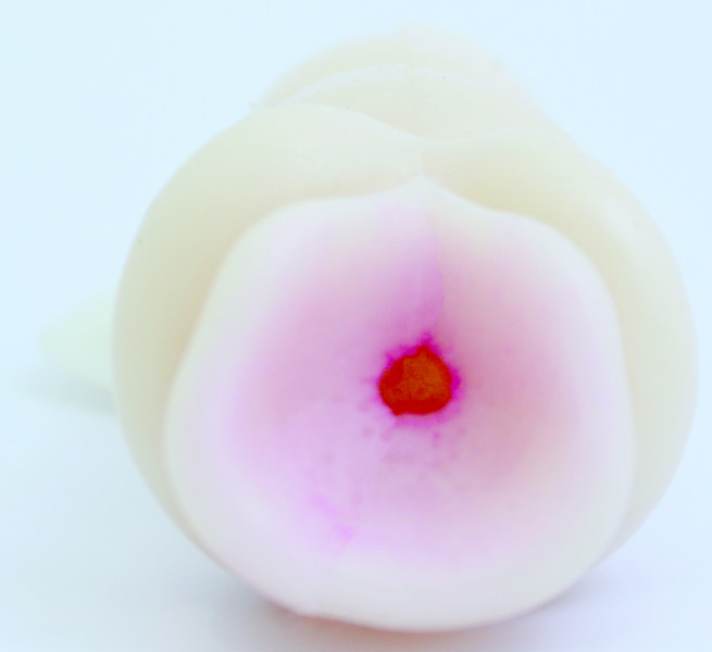 逆ヒダの姫 画像2