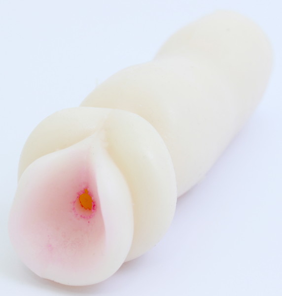 逆ヒダの姫 画像3