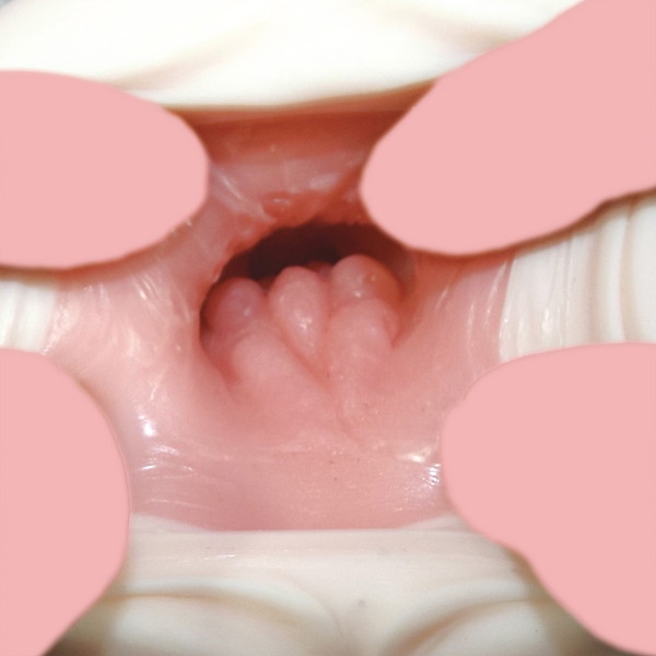 極上生名器 竹内梨恵 画像6
