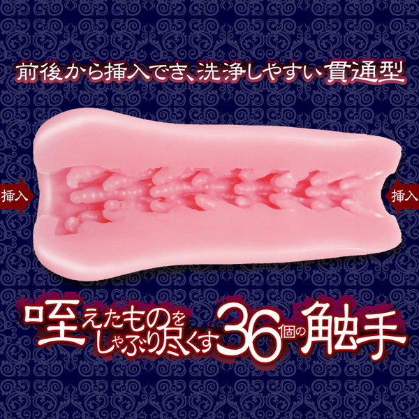刺突する肉壁 ソフト 画像1