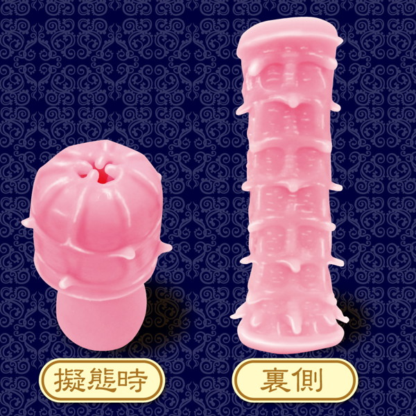 刺突する肉壁 ソフト 画像3