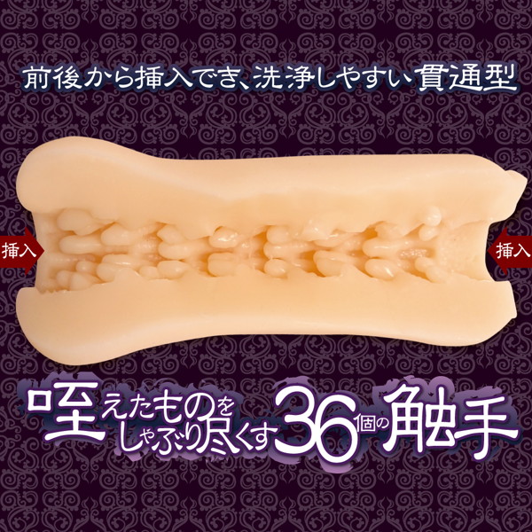 刺突する肉壁 ハード 画像1