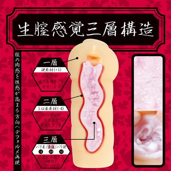生膣感覚三層構造 夢無花果(ゆめいちじく) 【中型】普通(0) 画像1