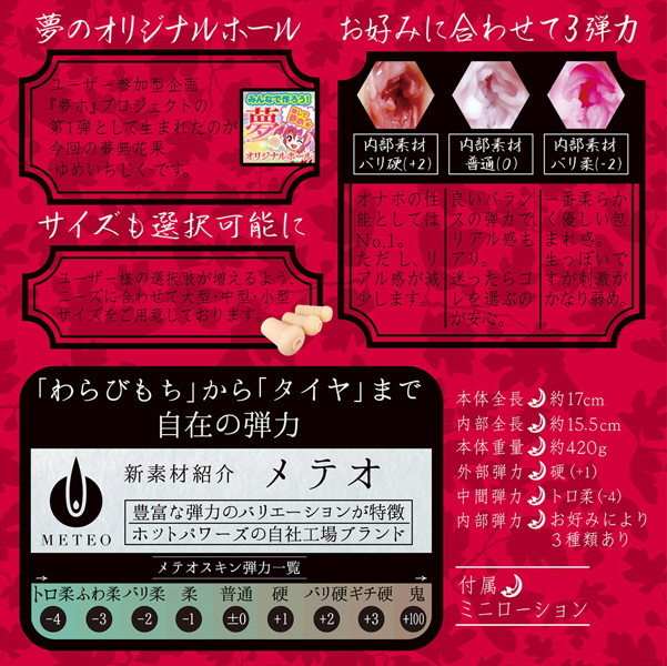 生膣感覚三層構造 夢無花果(ゆめいちじく) 【中型】普通(0) 画像3