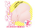 ぷにあなDX＜極＞ 画像1