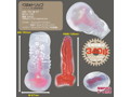 くぱぁトリップ ゾリゾリ五連硬質壁（1244） 画像4