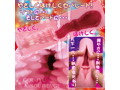 天下一穴 剛柔二層変化 画像3