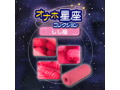 オナホ星座コレクション しし座 画像3