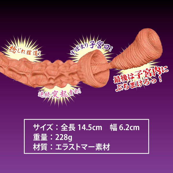 お隣の淫乱奥さまは俺の肉便器 画像2