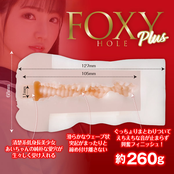 フォクシーホール プラス 河奈亜依 FOXY HOLE plus ［パウチローション付き］ 画像4