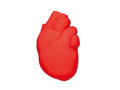 GRASP HEART 画像7