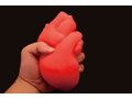 GRASP HEART 画像12