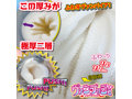 Vampush 画像5