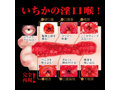 激フェラ エロカワ淫口 松本いちか 画像4