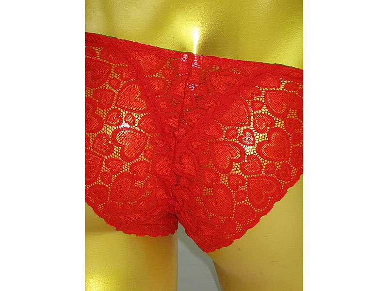 10014254/日本製高級レースフルバックRE/レッド 画像4