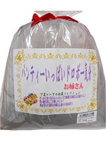 パンティいっぱいドロボー気分 お姉さん