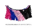 OVA向日葵ハ夜ニ咲ク 東陽里 ぱんてぃーこれくしょん 画像2