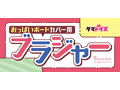 おっぱいボードカバー用ブラジャー 画像7