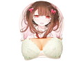 おっぱいボードカバー用ブラジャー 画像10