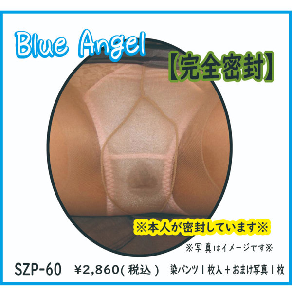 《使用済み風加工品》完全密封(SZP-60)
