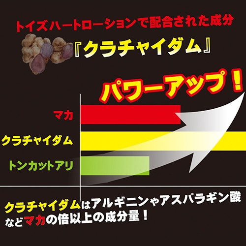 トイズハートローション ソフト300ml 画像2