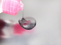 CHUBA CHUBA Lotion （150ml） 画像6