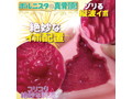 ビッグバウンズ ポルニスタ 画像3
