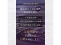 【池袋の老舗メーカーが新開発！】 ローションBOND Couch 微香料（8-BOD-002） 画像2