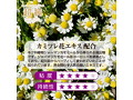 超純ローション バックドア60ml 画像3